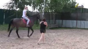 верховая езда с нуля