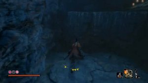 Sekiro: Shadows die twice - Как найти сушеные внутренности змеи