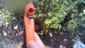 Полив другой распылительной насадкой ЖУК