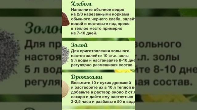 ВСЕ виды подкормки овощей: от🌱рассады до 🍅урожаев