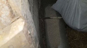 ПОРОСЁНОК С ЧЕРНИЧНОГО ХУТОРА ПЕРЕЕХАЛ НА ХУТОР ЗАМОШЬЕ
