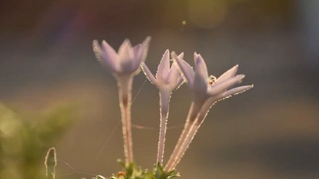 Nikon D3400 Photos,videos & Low light sample''s (2018) смотреть онлайн