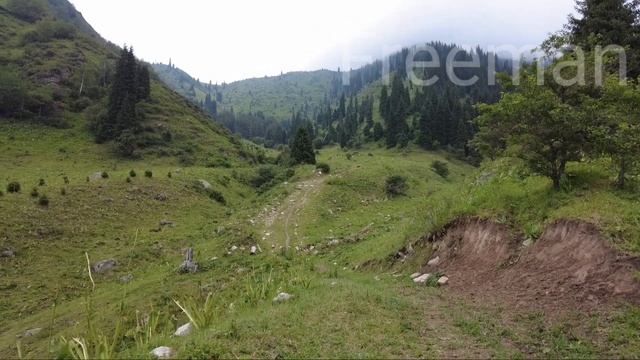 Гора Мохнатка Алматы видео 2023 | как дойти? | пеший маршрут |красивые горные летние маршруты найти смотреть онлайн