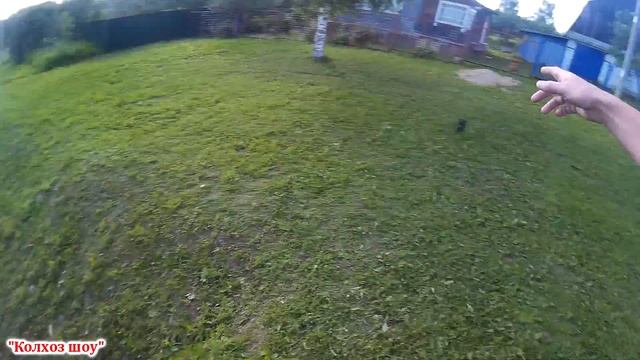 Деревенские войны//Новые законы ЛПХ в деревне №2. смотреть онлайн