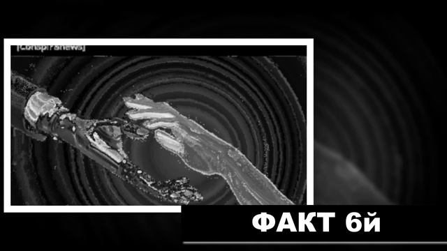 10 интересных фактов. Ученые изучили образ жизни неандертальцев, используя анализ зубов. Они об....