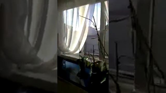 Раздвижные пластиковые окна VEKA