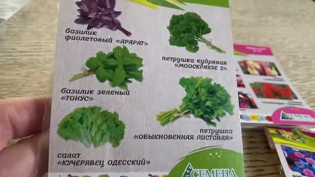 Обзор семян магазина Светофор.