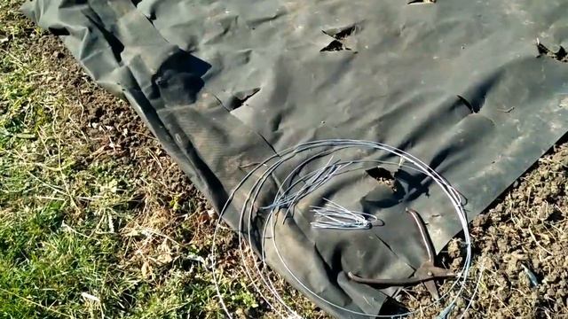 Мульчирование клубники осенью. Октябрь 2021.