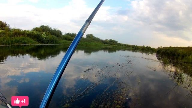 Ловля Рыбы на водоросли #ловлярыбы #рыбалка