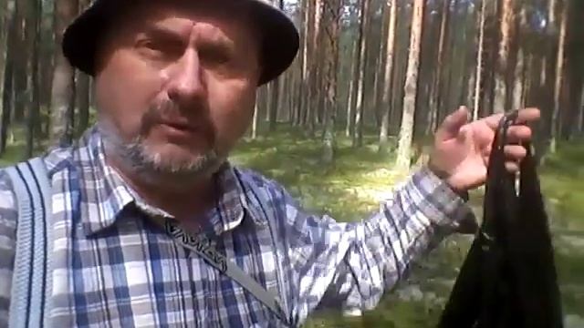 Грибное место 2 смотреть онлайн