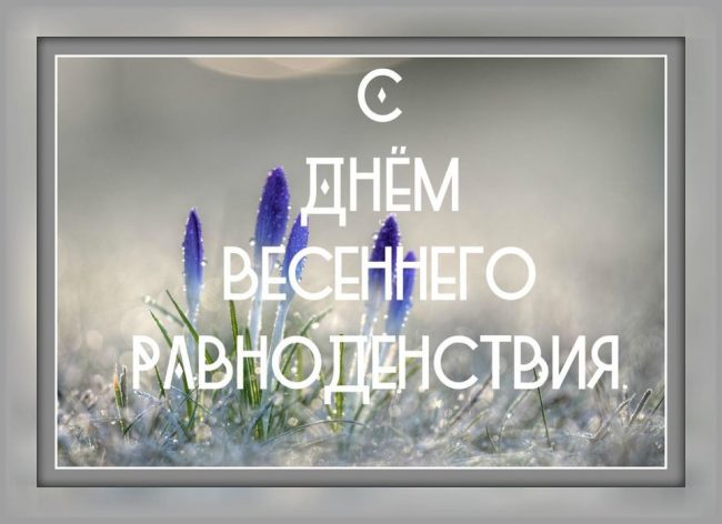 С Днем Весеннего Равноденствия?? День Весеннего Равноденствия Открытка! Красивое Поздравление