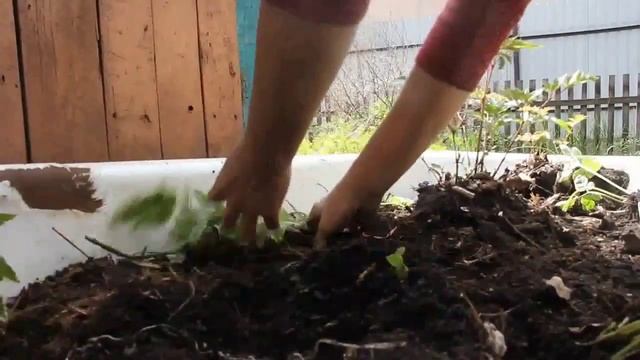 Как сделать яркую КЛУМБу из старой ванны своими руками? Дача Удачи