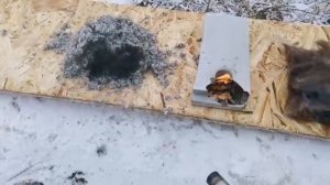 Тест утеплителей на горючесть: Эковата, полистирол и минвата. РусДом