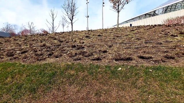 ЗА ТОРГОВЫМИ РЯДАМИ. ПАРК ЗАРЯДЬЕ. смотреть онлайн