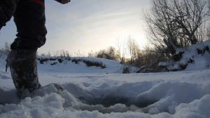 Искал хариуса,нашел зимовальную яму с щукой и оторвался!!!Глухозимье отменяется.