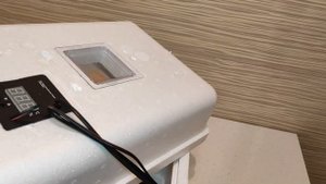 Обзор Инкубатора Несушка с цифровым терморегулятором 36 яиц автопереворот 12В гигрометр вентилятор