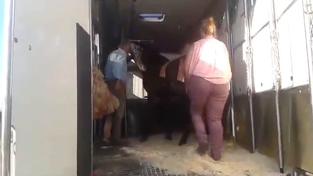 Josan loading смотреть онлайн