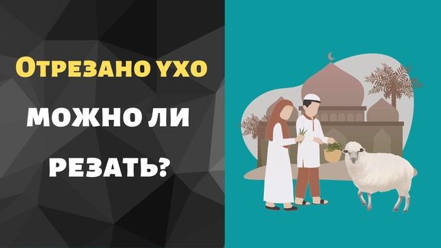 Какое животное нельзя резать на Курбан Байрам? Ид аль адха - правила жертвоприношения.
