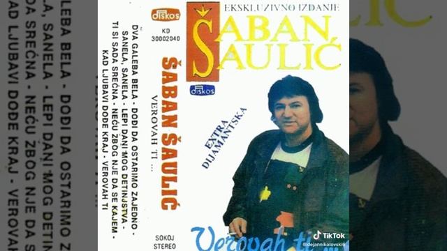 Saban Saulic - Hajde mala da pravimo lom Instrumental Cover (2023)