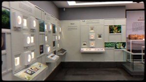 Китай. Ханчжоу. Один день из моей жизни. Достопримечательности. Интересные места.