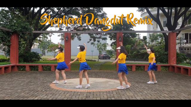 Shepherd Dangdut Remix / VPG Line Dance смотреть онлайн