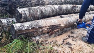 Цепная электро пила Витязь ПЦ 2100