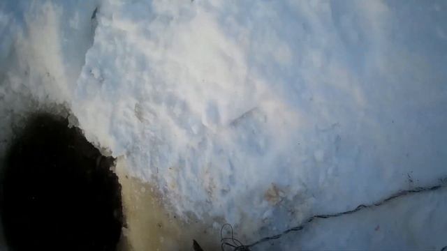 #проверка сети смотреть онлайн