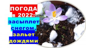 Погода в 2022 году: засыплет снегом, зальет дождями