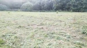 29 октября 2021 г. Продажа участка в снт "Повелье" , Сергиев-Посадский район, деревня Пальчино