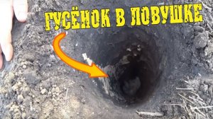 Навес своими руками - Начали заливать столбы. Гусёнок в ловушке / Семья в деревне