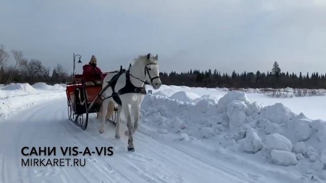 Сани Визави смотреть онлайн