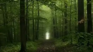 Лучшая медитация перед сном для глубокого расслабления и снятия стресса!