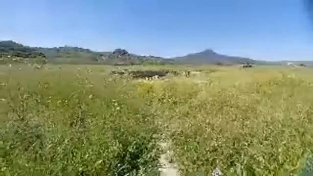 История Пи и Забытые руины в античной Магнезии