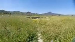 История Пи и Забытые руины в античной Магнезии