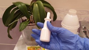 ЭПИН-ЭКСТРА для орхидей || Самый ЭФФЕКТИВНЫЙ способ применения эпина для орхидей