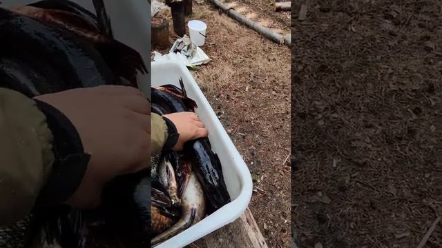 рыбалка в карелии смотреть онлайн