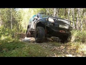 там, где волки....        Усольский район Иркутской области