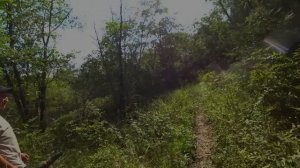 Ореховая лихорадка, продолжение. Рев изюбря, немного теории!