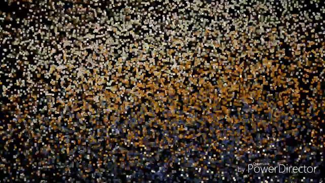 Разные виды сальтов смотреть онлайн