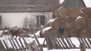 Алтайский край Солонешенский район  с. Сибирячиха  1серия