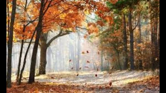 Начать бы всё заново. Автор: В. Ланцберг, ( Кавер ) исп.: Т. Рехельс смотреть онлайн