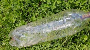 Простой автополив из пластиковой бутылки для сада, огорода, газона