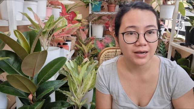 SMALL BALCONY GARDEN MAKEOVER AND GIVEAWAY ANNOUNCEMENT смотреть онлайн