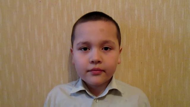 Из чего состоит система кровообращения человека? смотреть онлайн