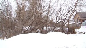 Среда. Что делать, если дом есть, а земли под ним - нет