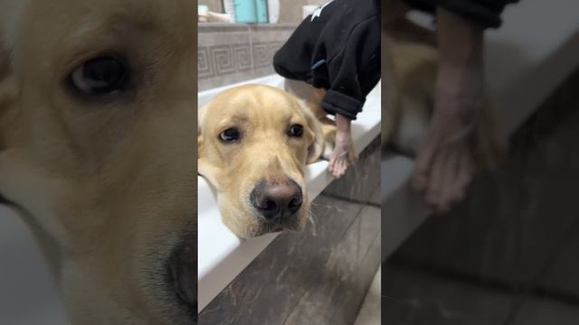 Мне и здесь хорошо -- смотреть онлайн