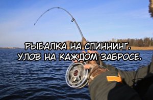 Рыбалка на Спиннинг. Улов на каждом забросе. Весенняя рыбалка 2022