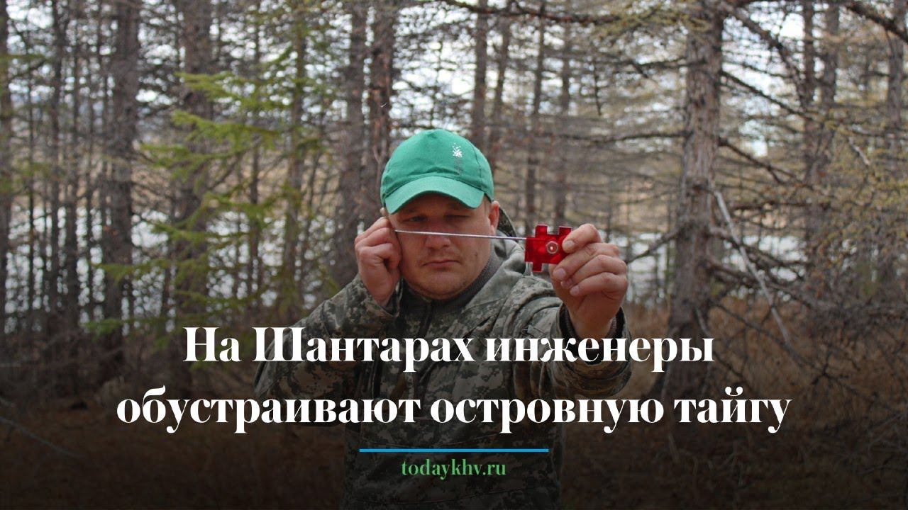 На Шантарах инженеры обустраивают островную тайгу