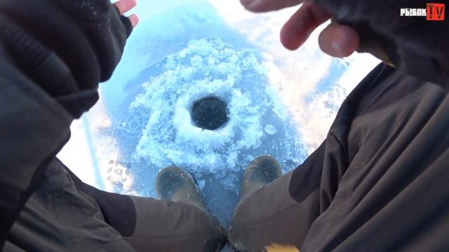 Первый лед 2020-2021 в Ленинградской области. Зимний сезон открыт. Ловля окуня. смотреть онлайн