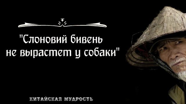 Мудрые Китайские Пословицы и Поговорки. Китайская мудрость   Цитаты, афоризмы, мудрые мысли 2